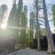 ヒメ日記 2026/04/25 23:39 投稿 小山 鶯谷デッドボール