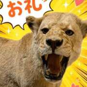 ヒメ日記 2026/05/28 20:33 投稿 小山 鶯谷デッドボール