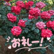 ヒメ日記 2026/06/08 16:25 投稿 小山 鶯谷デッドボール