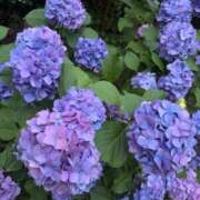 ヒメ日記 2026/06/16 01:09 投稿 小山 鶯谷デッドボール