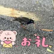 ヒメ日記 2026/08/21 00:19 投稿 小山 鶯谷デッドボール