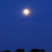 ヒメ日記 2025/11/06 14:31 投稿 なみ 奥様 仙台人妻セレブリティー