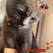 ヒメ日記 2025/12/01 12:59 投稿 なみ 奥様 仙台人妻セレブリティー