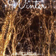 ヒメ日記 2025/12/07 13:37 投稿 なみ 奥様 仙台人妻セレブリティー