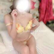 ヒメ日記 2026/02/13 15:21 投稿 KISEKI【キセキ】 Evolution1st ミナミ谷九店