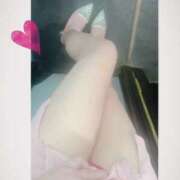 ヒメ日記 2026/03/29 21:53 投稿 みれい アレグリア