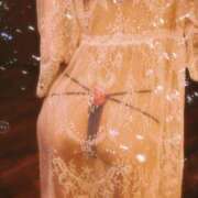 ヒメ日記 2025/11/10 10:16 投稿 新山 パンドラ（吉原）