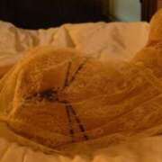 ヒメ日記 2026/04/03 20:10 投稿 新山 パンドラ（吉原）