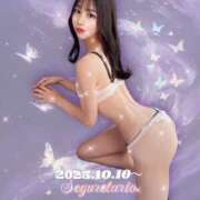 ヒメ日記 2025/11/05 15:04 投稿 翼 セグレターリオ