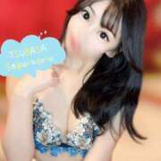 ヒメ日記 2025/11/21 08:41 投稿 翼 セグレターリオ