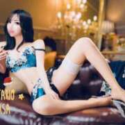 翼 屋久島^^ セグレターリオ