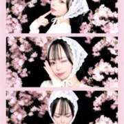 ヒメ日記 2026/04/22 19:14 投稿 てぃあ 性の極み技の伝道師ver.2.0