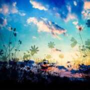 ヒメ日記 2026/02/02 15:50 投稿 みらい 逆電車ごっこ ～GLAMOROUS TRAIN～