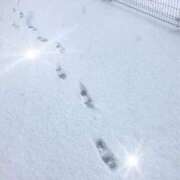 ヒメ日記 2026/02/08 11:50 投稿 みらい 逆電車ごっこ ～GLAMOROUS TRAIN～