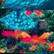 ヒメ日記 2026/03/04 15:00 投稿 みらい 逆電車ごっこ ～GLAMOROUS TRAIN～