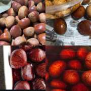 ヒメ日記 2025/10/09 17:00 投稿 かや 奥鉄オクテツ東京店（デリヘル市場）