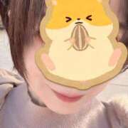 ヒメ日記 2025/11/04 09:45 投稿 かや 奥鉄オクテツ東京店（デリヘル市場）