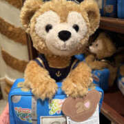 ヒメ日記 2026/01/04 11:15 投稿 かや 奥鉄オクテツ東京店（デリヘル市場）