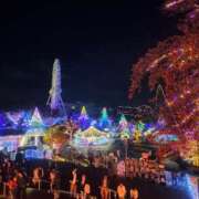 ヒメ日記 2025/11/16 17:25 投稿 すい 新宿カルテ