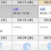 ヒメ日記 2025/10/16 13:16 投稿 桜井まいか ミセスレディ