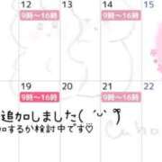 ヒメ日記 2025/11/11 21:16 投稿 桜井まいか ミセスレディ