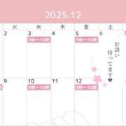 ヒメ日記 2025/11/23 10:16 投稿 桜井まいか ミセスレディ