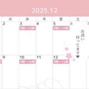 ヒメ日記 2025/11/29 10:01 投稿 桜井まいか ミセスレディ