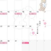 ヒメ日記 2025/12/07 10:31 投稿 桜井まいか ミセスレディ