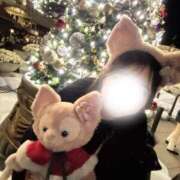 ヒメ日記 2025/12/29 00:12 投稿 みく Evolution 2nd