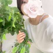 ヒメ日記 2025/11/05 17:14 投稿 【G】涙花 ウルトラセレブリティ