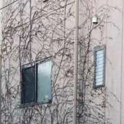 ヒメ日記 2026/01/17 13:04 投稿 【G】涙花 ウルトラセレブリティ