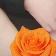 ヒメ日記 2025/11/29 13:25 投稿 やよい 人妻の楽園（博多）