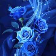 ヒメ日記 2025/12/23 15:46 投稿 やよい 人妻の楽園（博多）