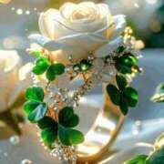 ヒメ日記 2025/12/25 07:46 投稿 やよい 人妻の楽園（博多）