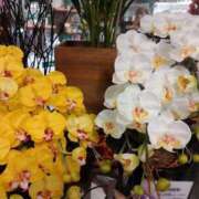 ヒメ日記 2025/10/08 18:42 投稿 ふじこ モアグループ南越谷人妻花壇