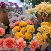 ヒメ日記 2025/10/13 13:33 投稿 ふじこ モアグループ南越谷人妻花壇