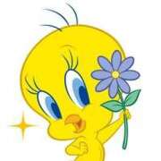 ヒメ日記 2025/11/02 07:00 投稿 もにか 多恋人 新宿店