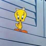 ヒメ日記 2025/11/02 09:34 投稿 もにか 多恋人 新宿店