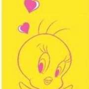 もにか 今月ラスト 多恋人 新宿店