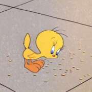 もにか います 多恋人 新宿店