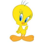 もにか います 多恋人 新宿店