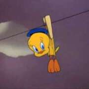 ヒメ日記 2025/12/10 06:30 投稿 もにか 多恋人 新宿店