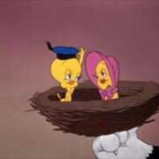 ヒメ日記 2025/12/11 07:00 投稿 もにか 多恋人 新宿店