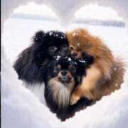 ヒメ日記 2025/12/23 07:00 投稿 もにか 多恋人 新宿店