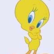 ヒメ日記 2025/12/29 07:00 投稿 もにか 多恋人 新宿店