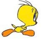 ヒメ日記 2025/12/30 06:00 投稿 もにか 多恋人 新宿店