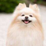 ヒメ日記 2026/01/02 07:01 投稿 もにか 多恋人 新宿店