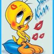 ヒメ日記 2026/01/23 07:00 投稿 もにか 多恋人 新宿店