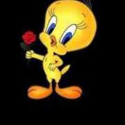 ヒメ日記 2026/01/26 07:00 投稿 もにか 多恋人 新宿店