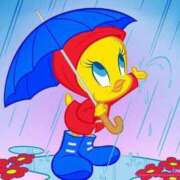 ヒメ日記 2026/02/23 09:15 投稿 もにか 多恋人 新宿店